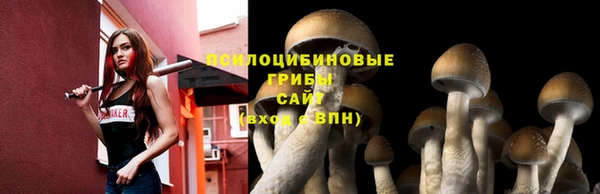 стафф Каменск-Шахтинский