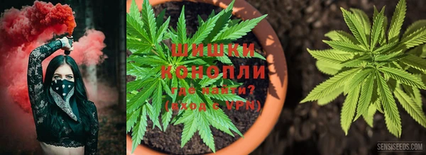 стафф Каменск-Шахтинский