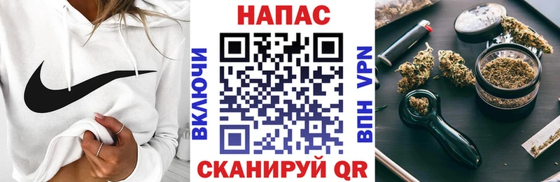 Купить  Оса  Шишки марихуана семена 